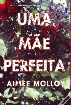 Capa do artigo Uma Mãe Perfeita
