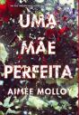 Uma Mãe Perfeita - Preview