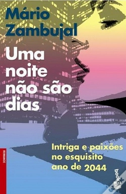Capa do artigo Uma Noite Não São Dias