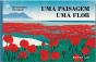 Uma Paisagem, Uma Flor - Preview