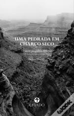 Uma Pedrada em Charco Seco