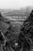 Uma Pedrada em Charco Seco