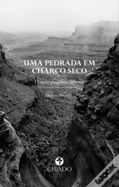 Uma Pedrada em Charco Seco