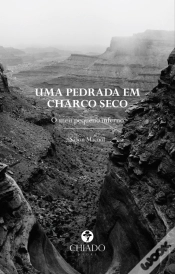 Capa do artigo Uma Pedrada em Charco Seco