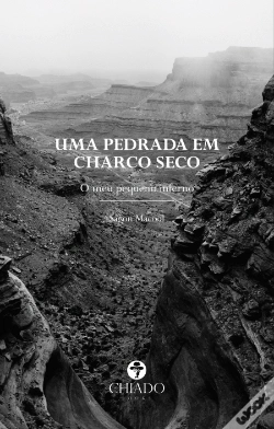 Capa do artigo Uma Pedrada em Charco Seco
