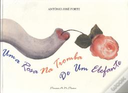 Uma Rosa na Tromba de Um Elefante