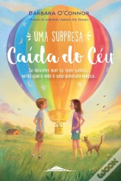 Capa do artigo Uma Surpresa Caída Do Céu