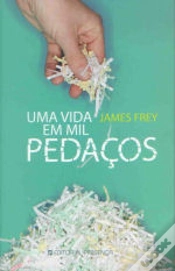 Capa do artigo Uma Vida em Mil Pedaços