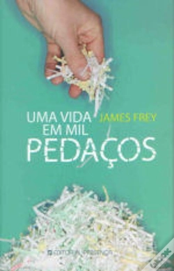 Capa do artigo Uma Vida em Mil Pedaços