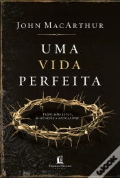 Capa do artigo Uma Vida Perfeita