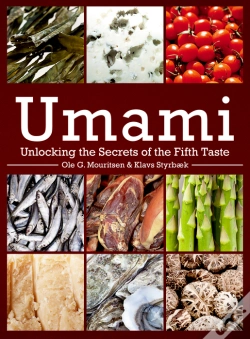 Capa do artigo Umami