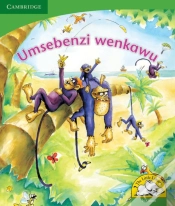 Capa do artigo Umsebenzi Wenkawu