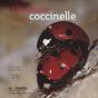 Un Amour De Coccinelle - Preview