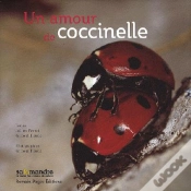 Capa do artigo Un Amour De Coccinelle