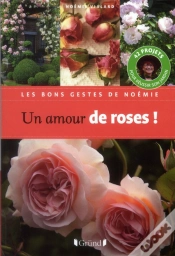 Capa do artigo Un Amour De Roses