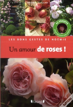 Capa do artigo Un Amour De Roses