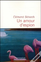 Un Amour D'Espion