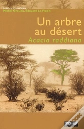 Un Arbre Au Désert ; Acacia Raddiana