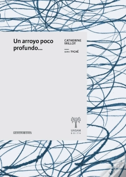 Capa do artigo Un Arroyo Poco Profundo...