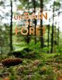 Un Bain De Foret - Edition Illustree - Preview