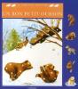Un Bon Petit Ourson - Preview