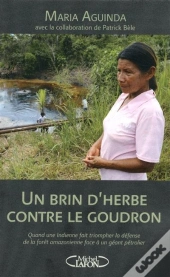 Un Brin D'Herbe Contre Le Goudron - Quand Une Indienne A Fait Triompher La Foret Amazonienne Face A