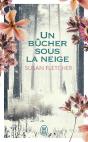 Un Bucher Sous La Neige - Preview