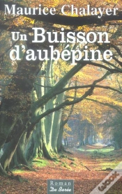 Capa do artigo Un Buisson D
