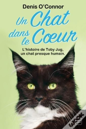 Un Chat Dans Le Coeur