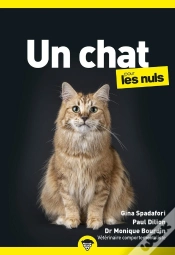 Capa do artigo Un Chat Pour Les Nuls