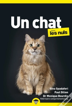 Capa do artigo Un Chat Pour Les Nuls
