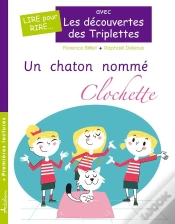 Capa do artigo Un Chaton Nommé Clochette (Édition Adaptée Dys)