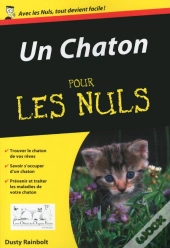 Un Chaton Pour Les Nuls