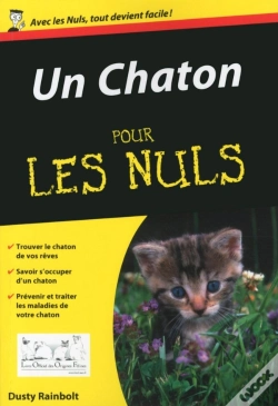 Capa do artigo Un Chaton Pour Les Nuls