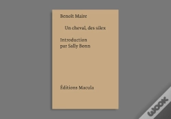 Capa do artigo Un Cheval, Des Silex