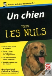 Capa do artigo Un Chien Poche Pour Les Nuls