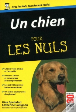 Capa do artigo Un Chien Poche Pour Les Nuls