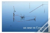 Un Coeur En Camargue