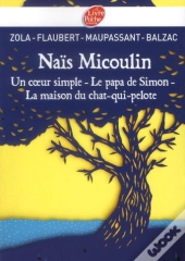 Un Coeur Simple, Le Papa De Simon, L'Inondation