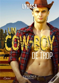 Capa do artigo Un Cow-Boy De Trop