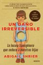 Un Daño Irreversible - Preview