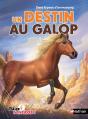 Un Destin Au Galop - Dans La Peau D'Un Mustang - Preview