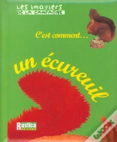 Un Ecureuil