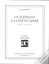 Un Elephant A La Patte Cassee