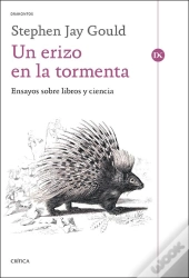 Un Erizo En La Tormenta