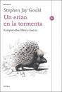 Un Erizo En La Tormenta - Preview