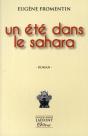 Un Été Dans Le Sahara - Preview