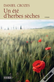 Capa do artigo Un Été D