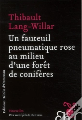 Un Fauteuil Pneumatique Rose Au Milieu D'Une Foret De Coniferes