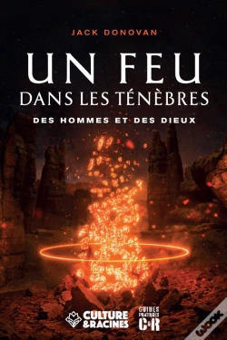 Capa do artigo Un Feu Dans Les Tenebres